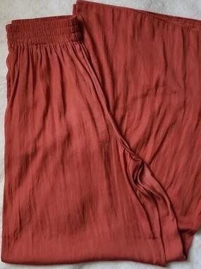 Zara Wide Leg Pants in Rust
